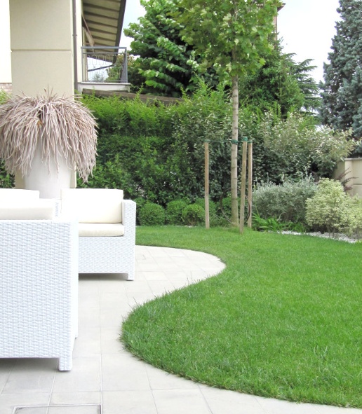 immagine annuncio 6 di 8