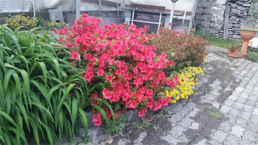 Foto Casa indipendente in ALPIANO, Crodo Centro di 80 m² con 4 locali