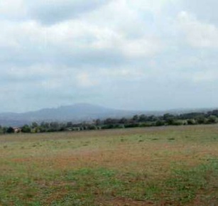 Foto Terreno edificabile in Strada Statale Nettunense, Lanuvio Bellavista