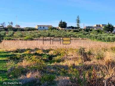 Foto Terreno agricolo a Valderice di 22000 m² in vendita
