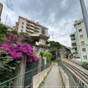 Foto Appartamento in Via Adamo Centurione 9D, Genova Lagaccio di 66 m²
