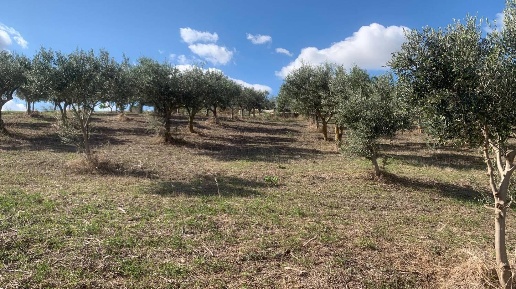 Foto Casa indipendente in VIA soria 110, Valderice Crocevie di 200 m²