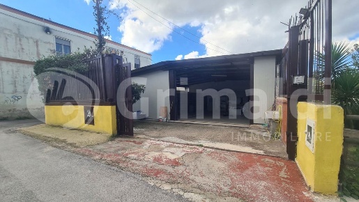 Foto Magazzino in Via Viviani SNC, Quarto di 170 m² con 1 locali in affitto