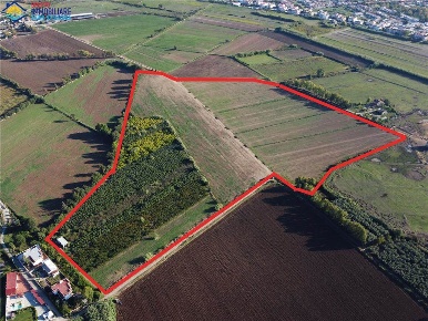 Foto Terreno agricolo in via domiziana  74, Cellole in vendita