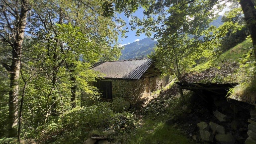 Foto Rustico a Pedesina di 54 m² con 2 locali in vendita