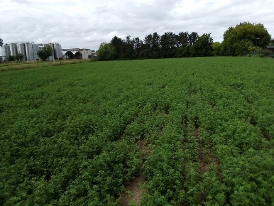Foto Terreno agricolo a Concordia sulla Secchia Centro di 13308 m²