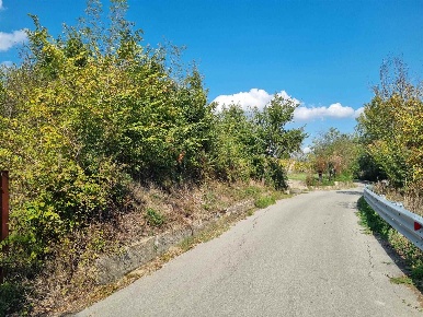 Foto Terreno agricolo in Via Torre  42, Montefredane di 12200 m² in vendita