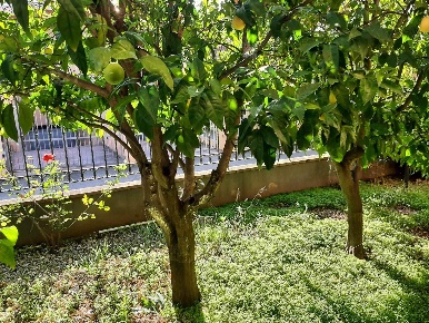 Foto Villa unifamiliare a Latina Q4 di 399 m² con 6 locali in vendita