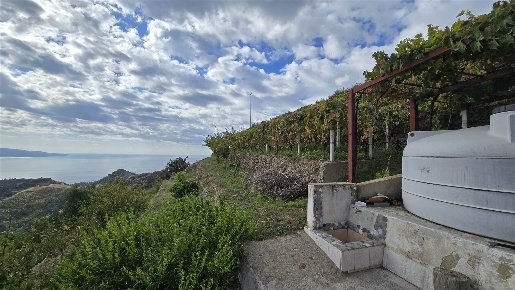Foto Terreno agricolo in Tipoldo, Messina Mili di 1600 m² in vendita