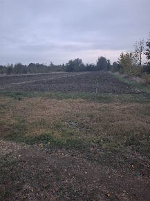 Foto Terreno agricolo a Modena Buon Pastore - Parco Amendola di 25000 m²