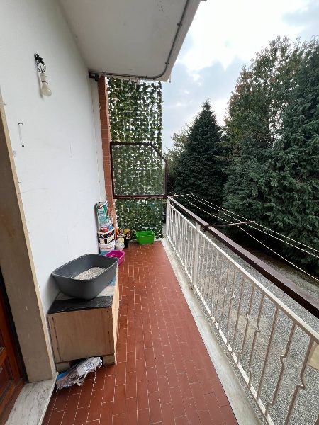 immagine annuncio 10 di 13