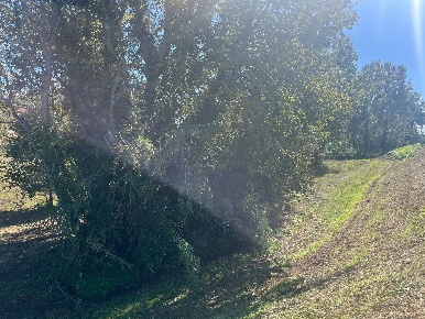 Foto Terreno agricolo in via provinciale vicarese 2, Vicopisano Centro