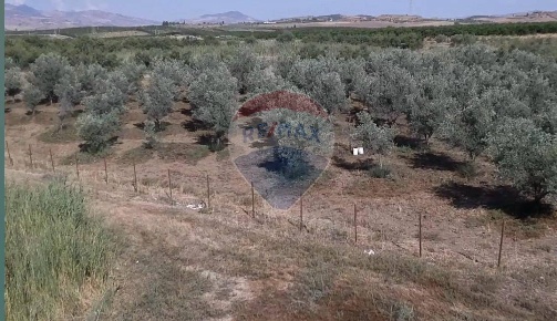 Foto Terreno agricolo in Contrada Cisterna, Paternò di 27666 m² in vendita