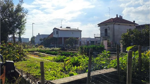 immagine annuncio 4 di 11