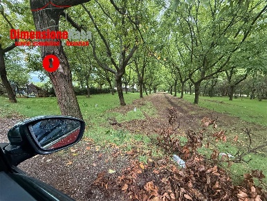 Foto Terreno agricolo in strada vicinale lavarone, Cicciano di 6700 m²