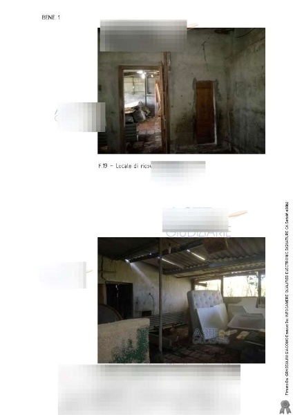 immagine annuncio 2 di 12