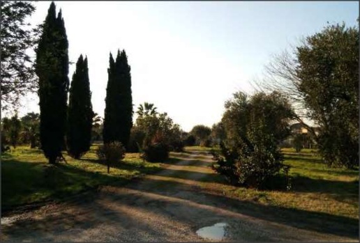 immagine annuncio 3 di 12