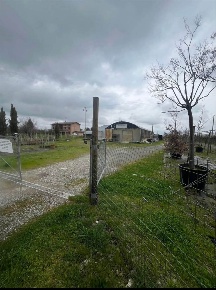 Foto Terreno agricolo a Modena Portile - Paganine di 13000 m² in vendita