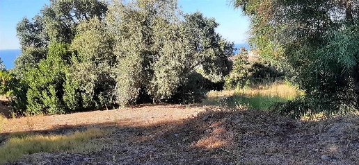 Foto Agriturismo in VIA ZAGARA  SNC, Cefalù Centro di 4597 m² con 1 locali