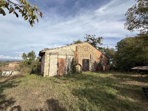 immagine annuncio 5 di 6