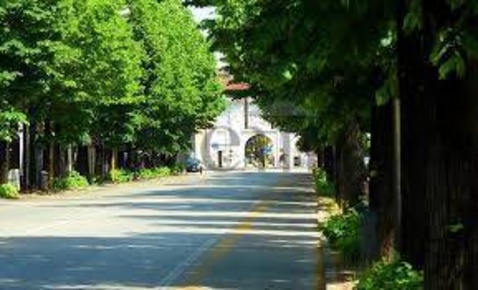 Foto Ufficio in Viale Monteggrappa, Treviso Eden - Tribunale di 100 m²