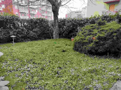 Foto Appartamento in Via Boves, Alessandria Galimberti di 105 m² in vendita