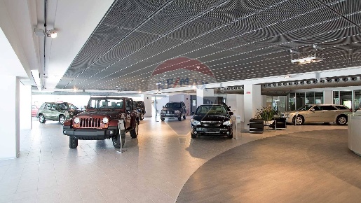 Foto Attività commerciale a Rovigo Borsea, Santa Rita di 1000 m² in vendita