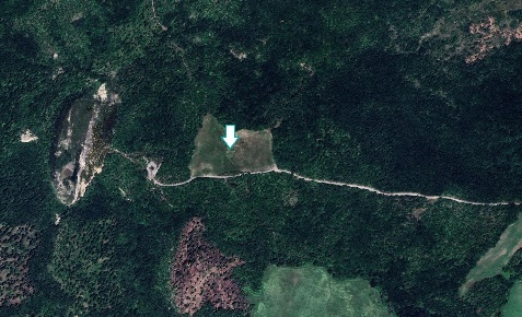 Foto Terreno agricolo a Volterra in vendita