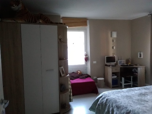 immagine annuncio 2 di 7