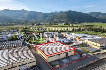 Foto Capannone industriale a Vicopisano Barsiliana di 1400 m² con 4 locali