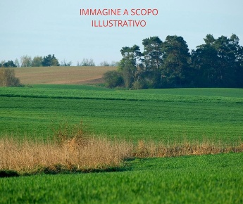 Foto Terreno residenziale in Via CAVANELLA D'ADIGE 00, Chioggia di 1015 m²