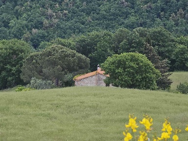 Foto Cessione attività a Castelnuovo di Val di Cecina con 1 locali