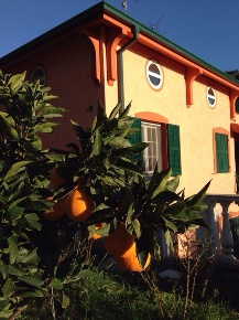 Foto Villa bifamiliare a Vallebona di 400 m² con 10 locali in vendita