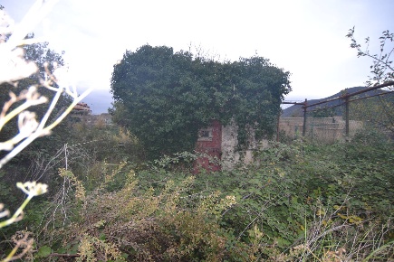 Foto Terreno agricolo in Via XXIII Novembre, Toirano Centro di 1730 m²