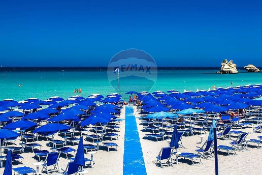 immagine annuncio 8 di 14