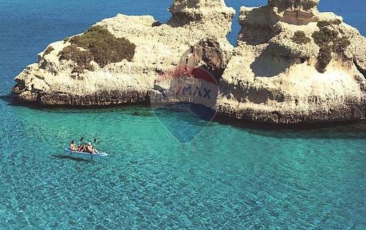 immagine annuncio 11 di 14