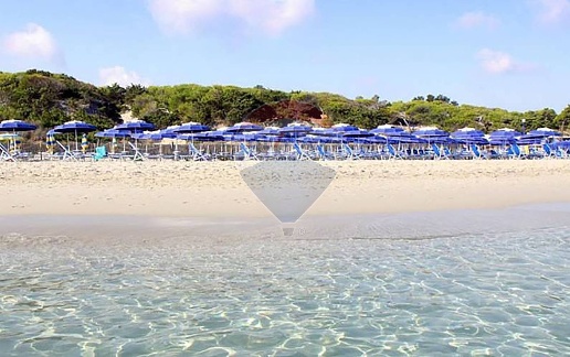 immagine annuncio 12 di 14