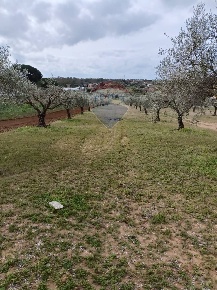 Foto Terreno agricolo in cda renelle, Caltagirone di 9190 m² in vendita