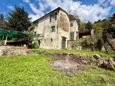 Foto Casale a Massa San Carlo - Antona di 210 m² con 6 locali in vendita