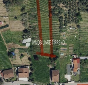 Foto Terreno agricolo a Massa Romagnano di 1000 m² in vendita