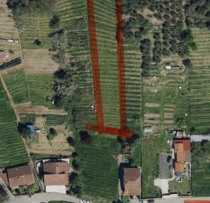 Foto Terreno agricolo a Massa Romagnano di 1000 m² in vendita