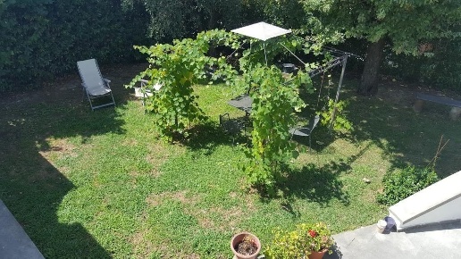 immagine annuncio 2 di 12