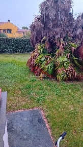 Foto Appartamento a Pisa Sant'Ermete - Putignano di 71 m² con 3 locali