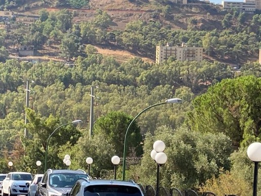 immagine annuncio 7 di 9