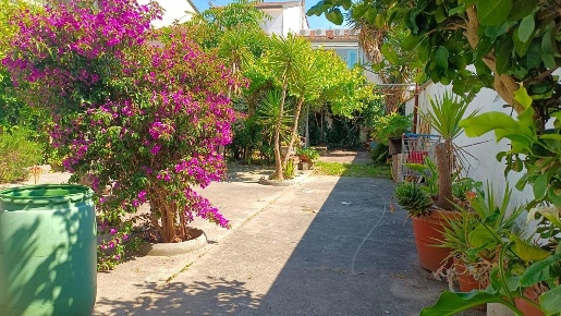 Foto Villa bifamiliare a Viareggio Terminetto - Migliarina di 195 m²