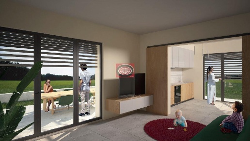 immagine annuncio 4 di 8