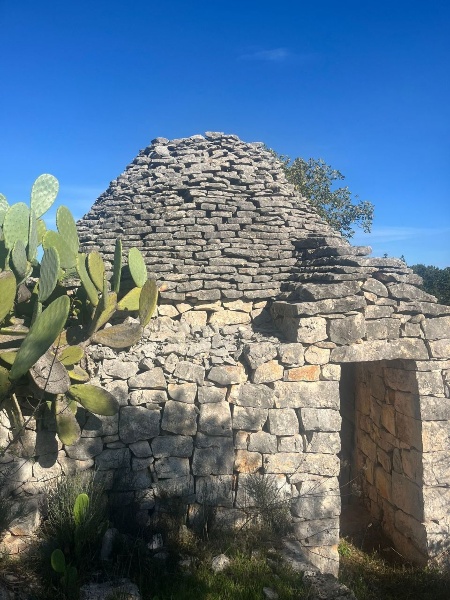 immagine annuncio 5 di 14