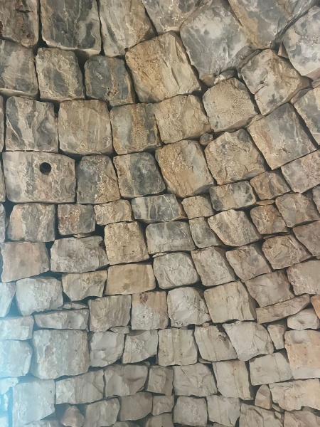 immagine annuncio 6 di 14