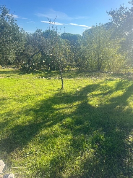 immagine annuncio 8 di 14