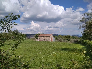 Foto Rustico in Località Guinzano snc, Roccastrada di 25 m² con 1 locali